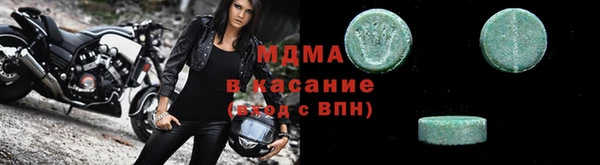 прущие грибы Надым