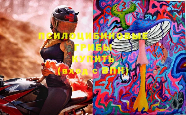 дмт Нефтекумск