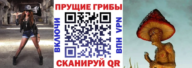 купить  сайты  Павловский Посад  Псилоцибиновые грибы GOLDEN TEACHER 