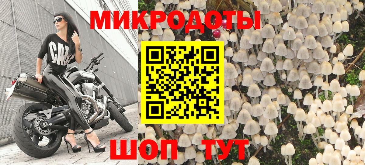 Псилоцибиновые грибы Psilocybine cubensis Павловский Посад